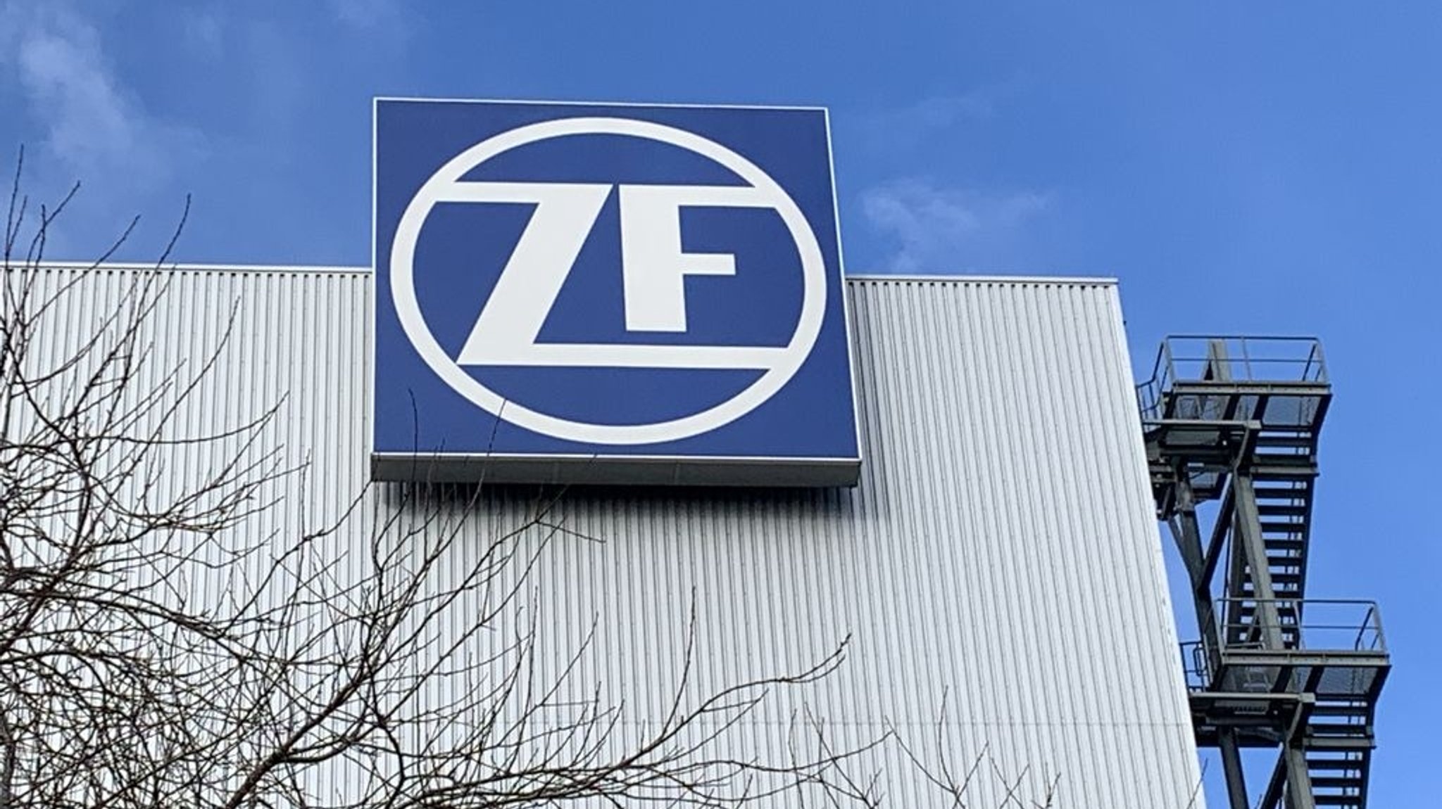 ZF